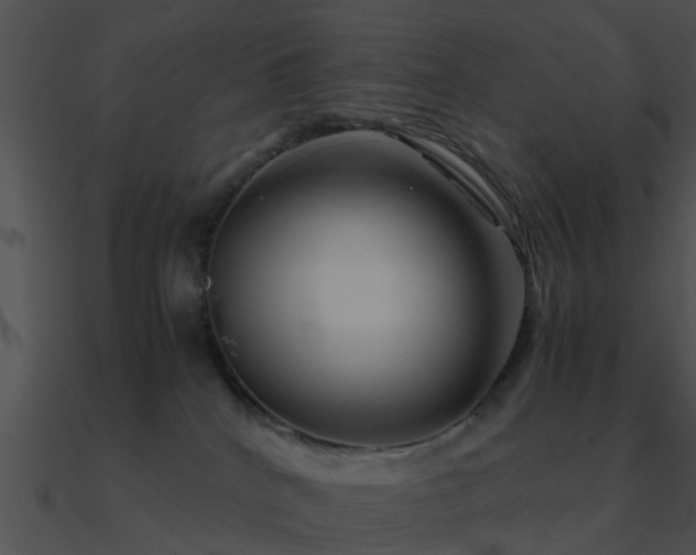 X0000090990040200708021532