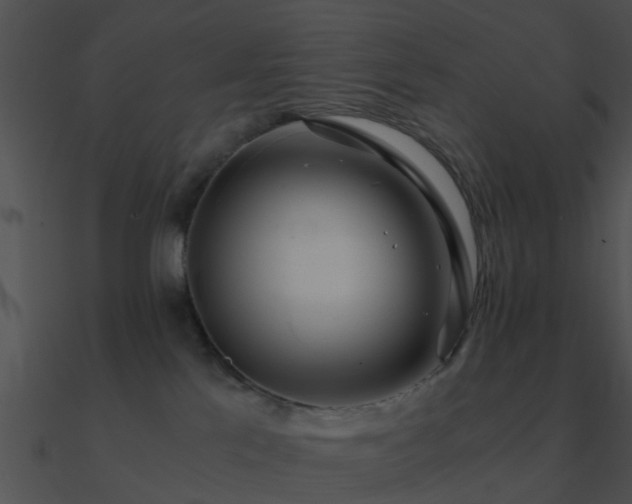 X0000090990041200708021532