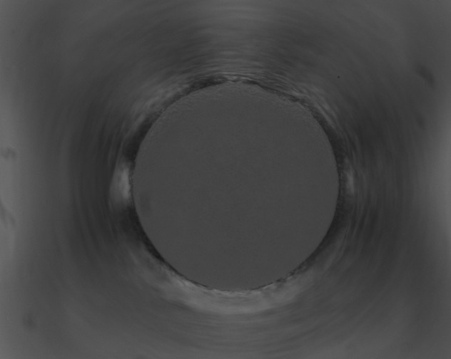 X0000090990042200708021532