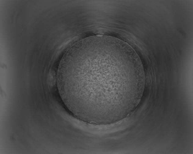 X0000090990043200708021532
