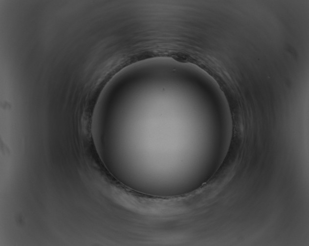 X0000090990044200708021532