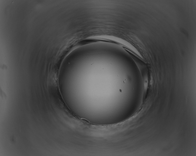 X0000090990045200708021532