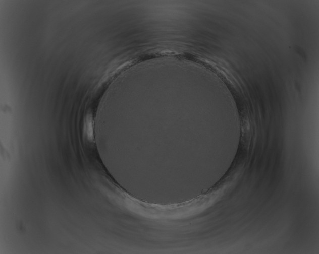 X0000090990046200708021532