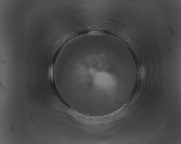 X0000090990047200708021532
