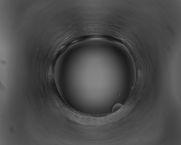 X0000090990048200708021532