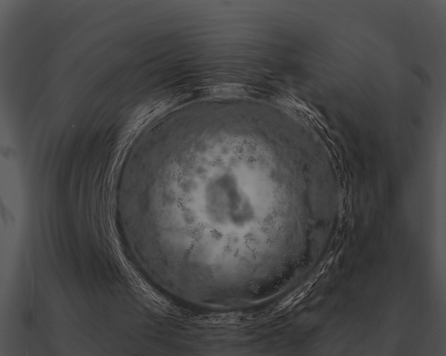 X0000090990049200708021531