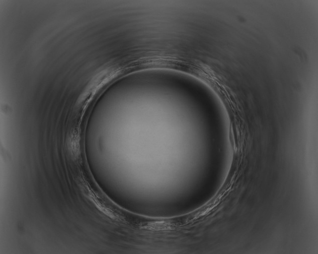 X0000090990050200708021531