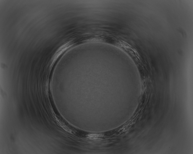 X0000090990051200708021531