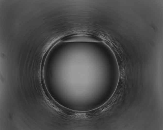 X0000090990052200708021531