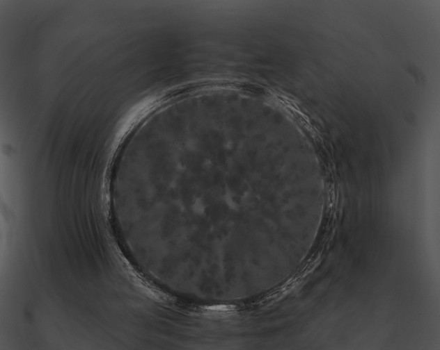 X0000090990053200708021531