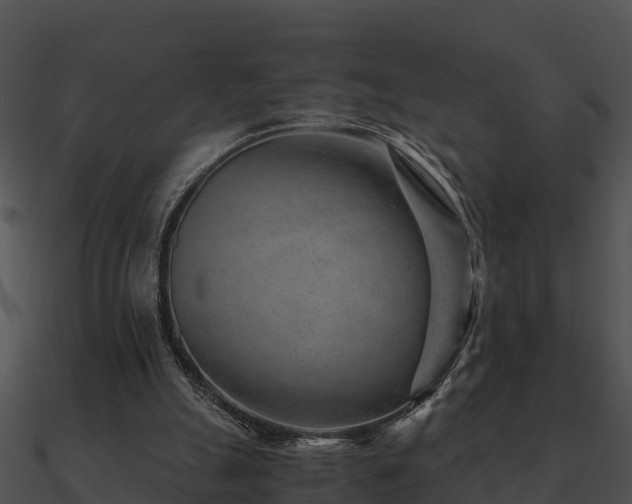 X0000090990055200708021531