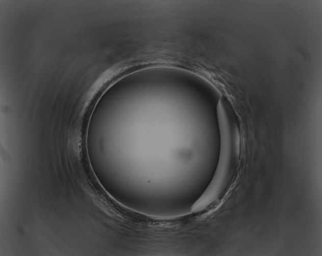 X0000090990056200708021531