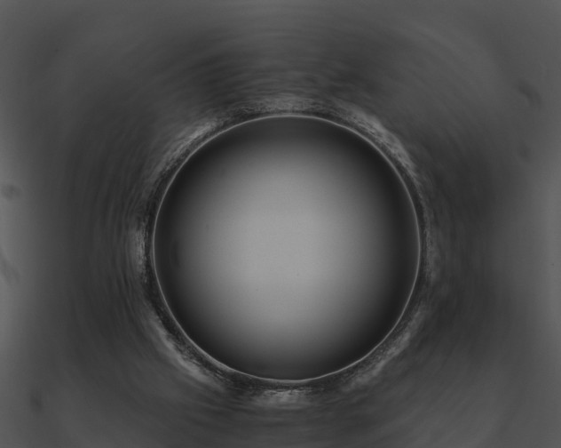 X0000090990057200708021531