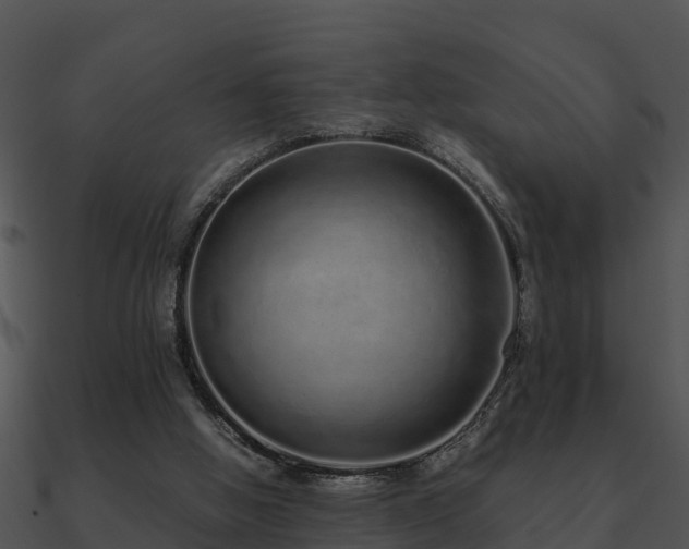 X0000090990058200708021531