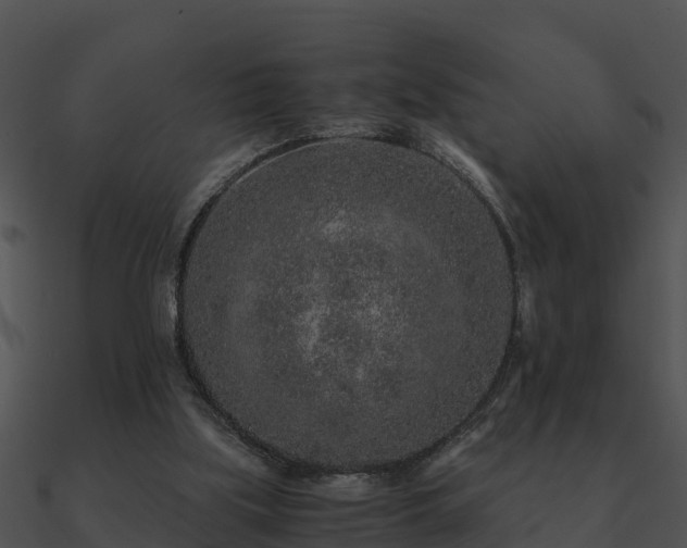 X0000090990059200708021531