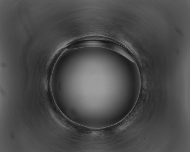X0000090990060200708021531