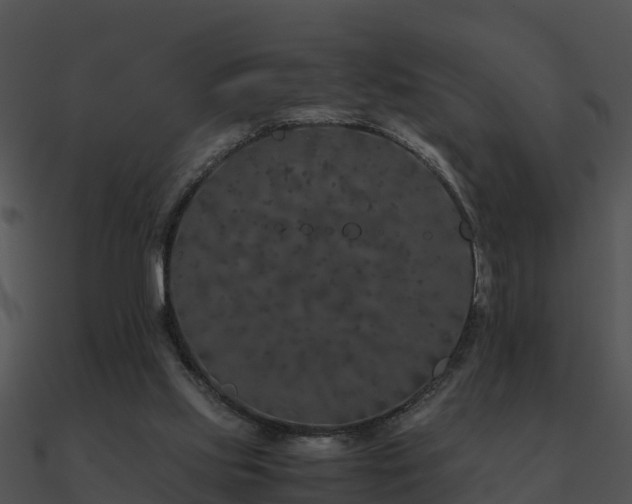 X0000090990061200708021531