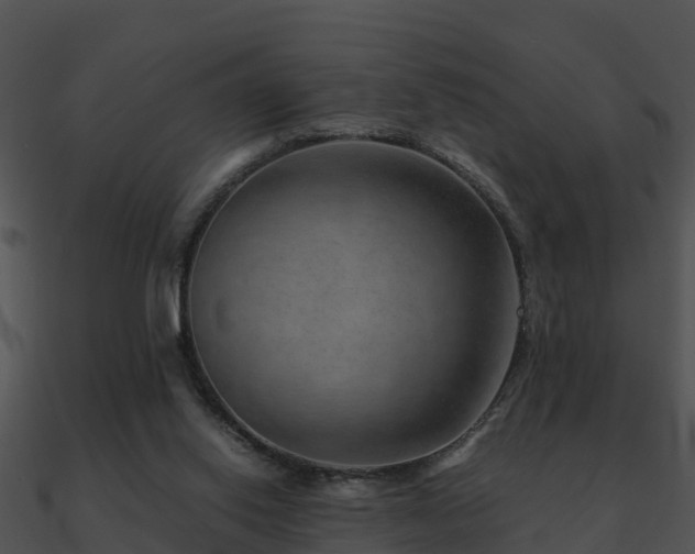 X0000090990062200708021531