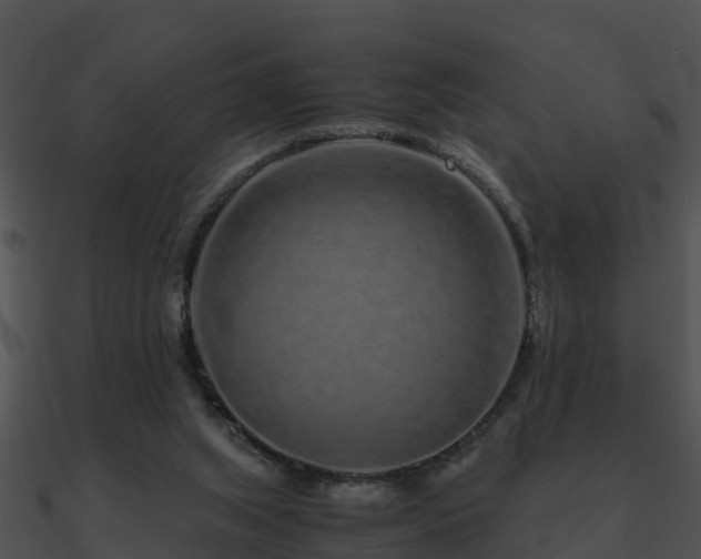 X0000090990063200708021531