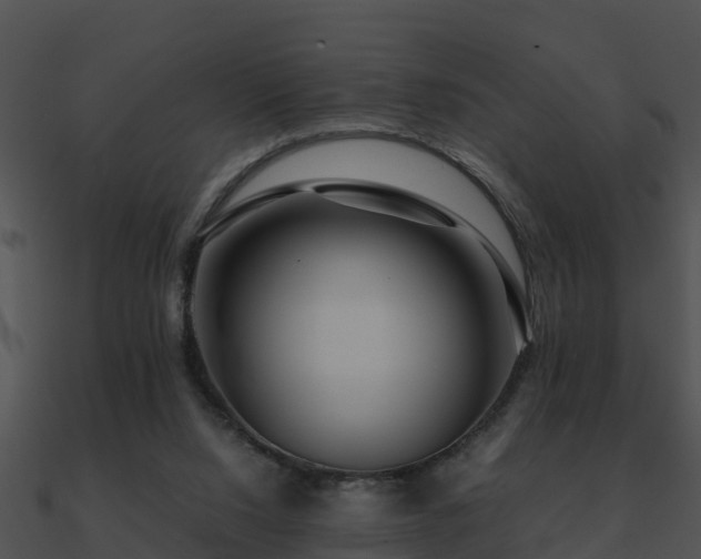 X0000090990064200708021531