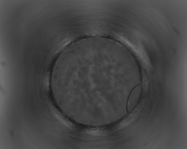 X0000090990065200708021531
