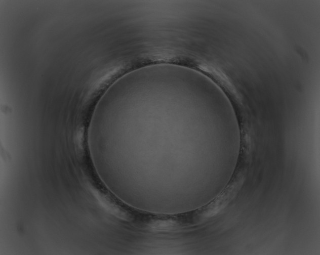 X0000090990066200708021531
