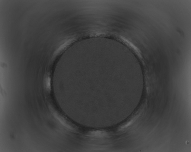 X0000090990067200708021531