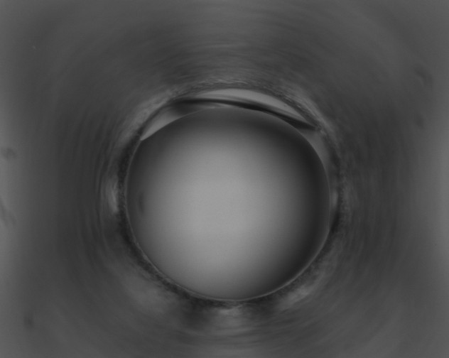 X0000090990068200708021531