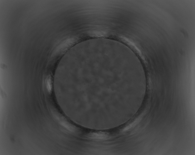 X0000090990069200708021531