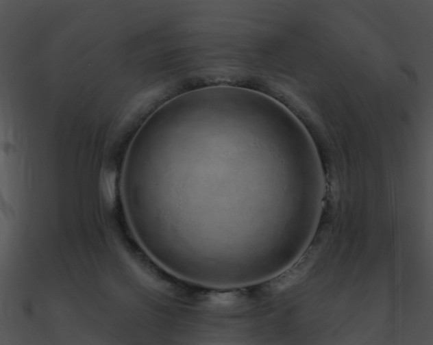 X0000090990070200708021531