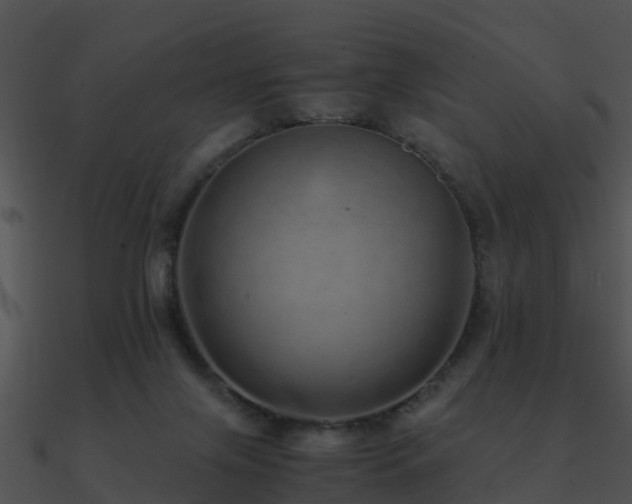 X0000090990071200708021531