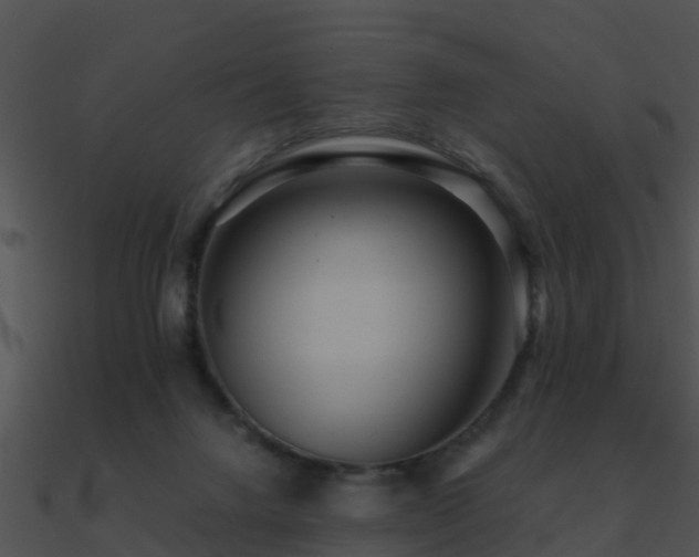 X0000090990072200708021531