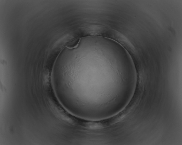 X0000090990073200708021531