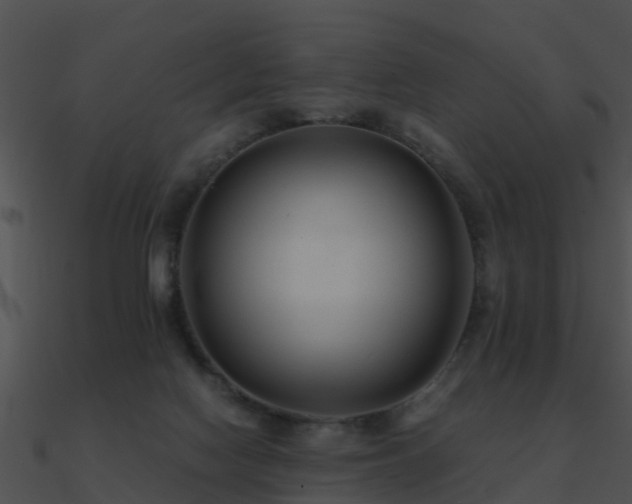 X0000090990074200708021531