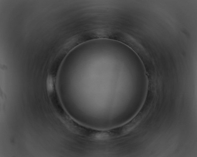 X0000090990075200708021531