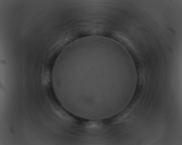 X0000090990077200708021532