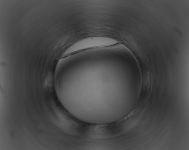X0000090990078200708021532