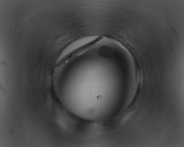X0000090990080200708021532