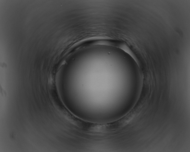 X0000090990084200708021532