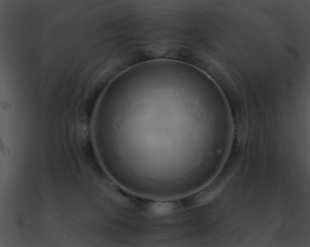 X0000090990085200708021532