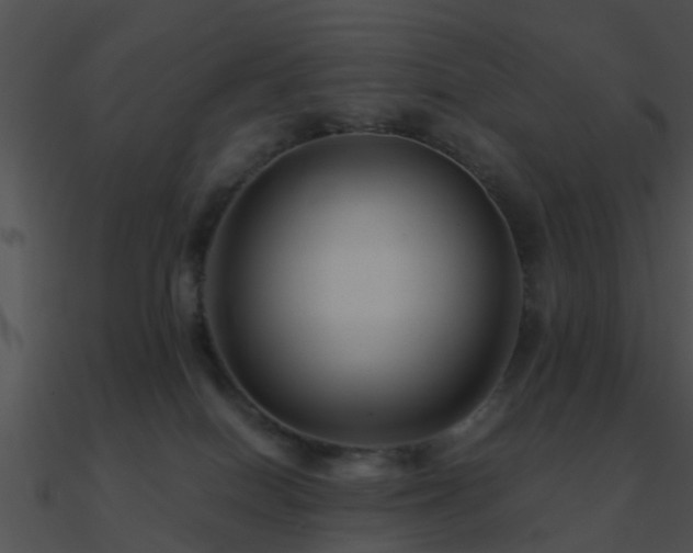 X0000090990086200708021532