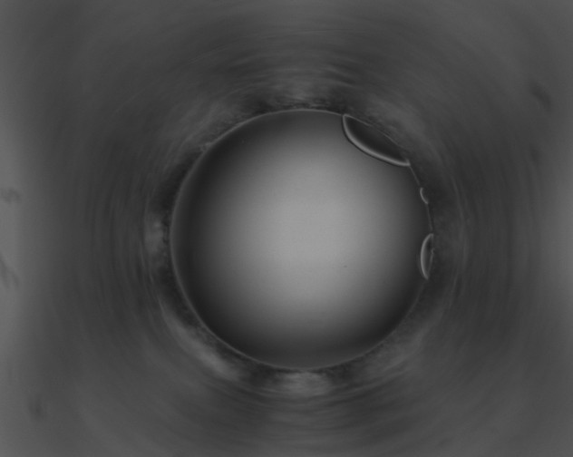 X0000090990087200708021532