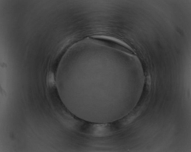 X0000090990089200708021532