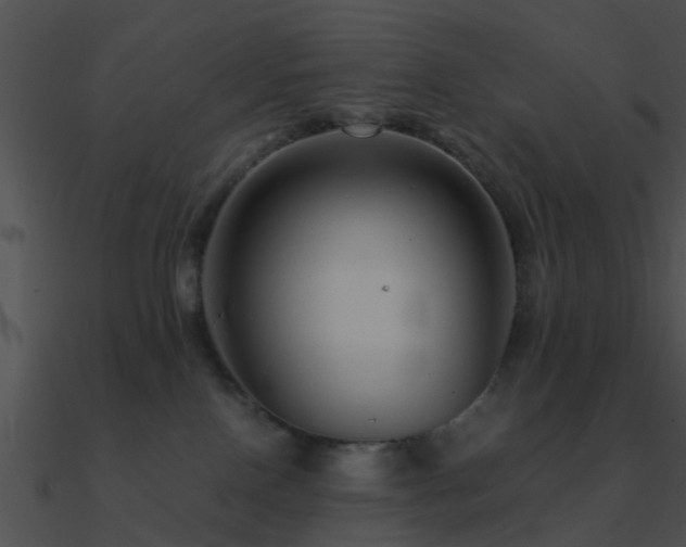 X0000090990090200708021532