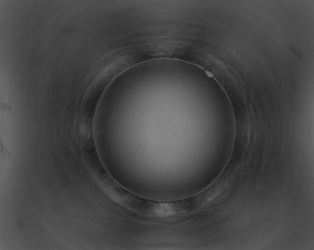 X0000090990091200708021532