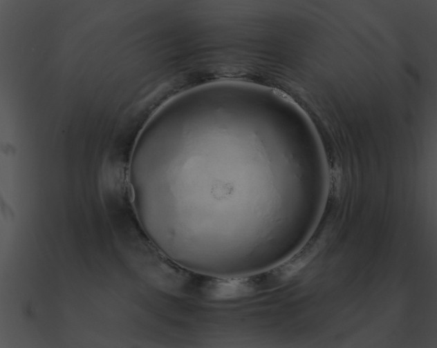 X0000090990093200708021532