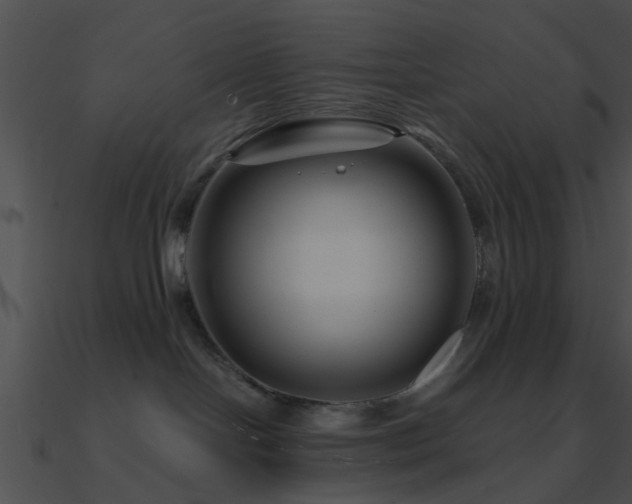 X0000090990094200708021532