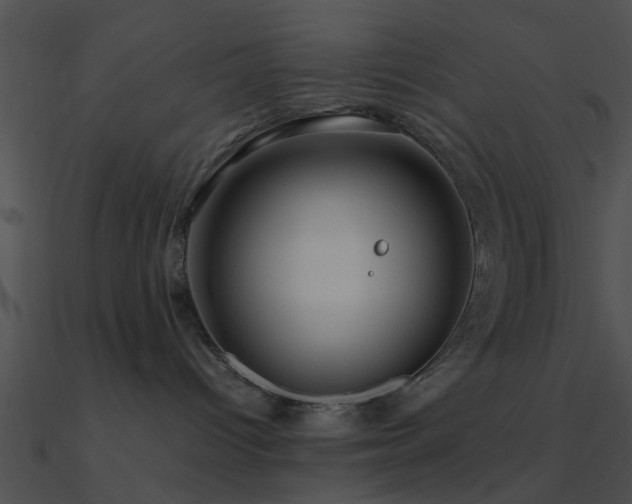 X0000090990096200708021532