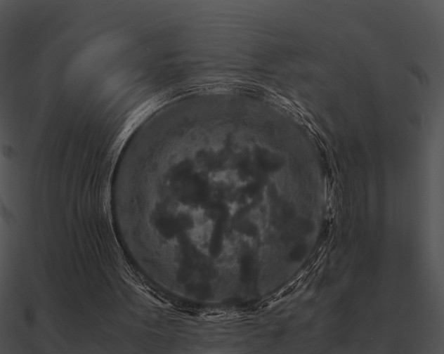 X0000090990099200708021531