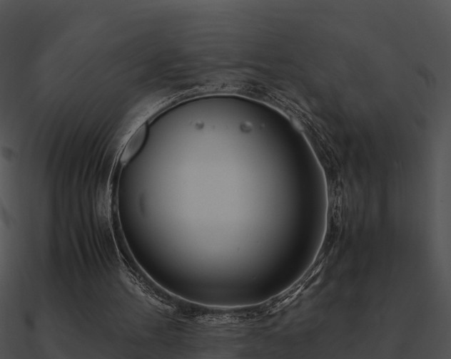 X0000090990100200708021531